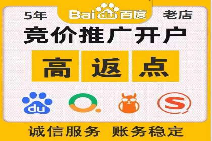 关键词竞价排名实战案例分析